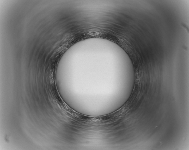 X0000102850606200808181049