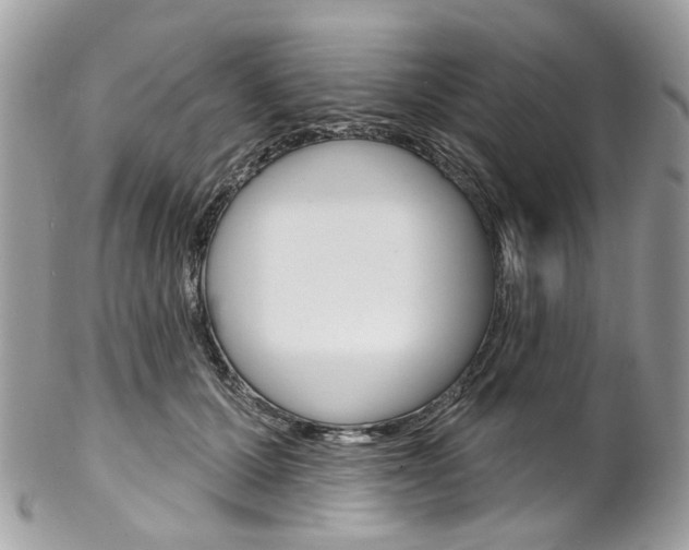 X0000102850607200808181048