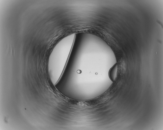 X0000102850608200808181048