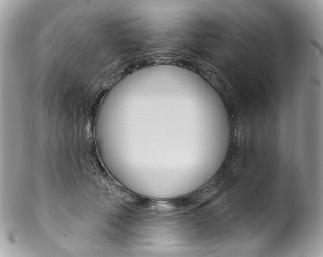 X0000102850610200808181048