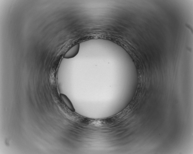 X0000102850611200808181048