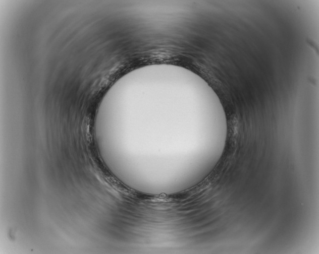 X0000102850615200808181048