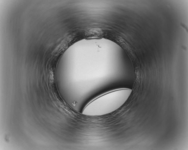 X0000102850617200808181048