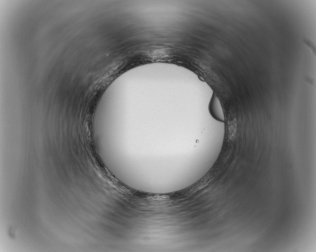 X0000102850618200808181048