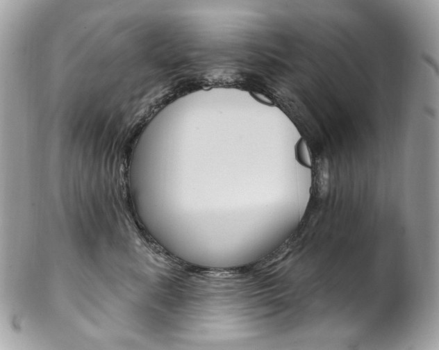 X0000102850619200808181048