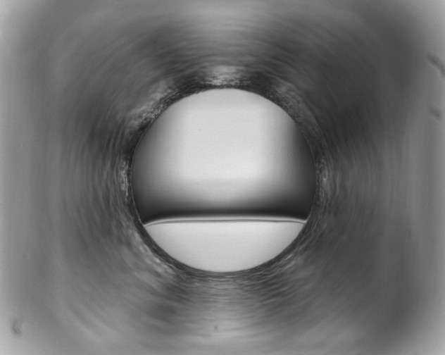 X0000102850620200808181048