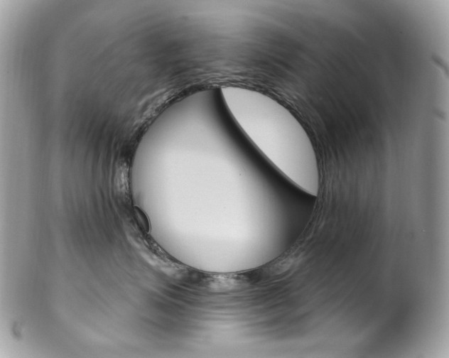 X0000102850623200808181048