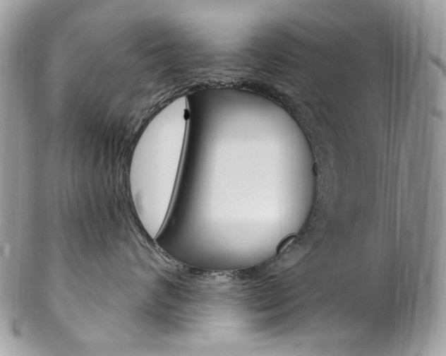X0000102850624200808181048