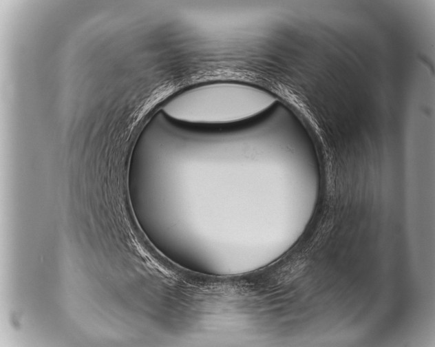 X0000102850625200808181048