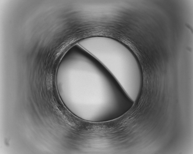 X0000102850626200808181048