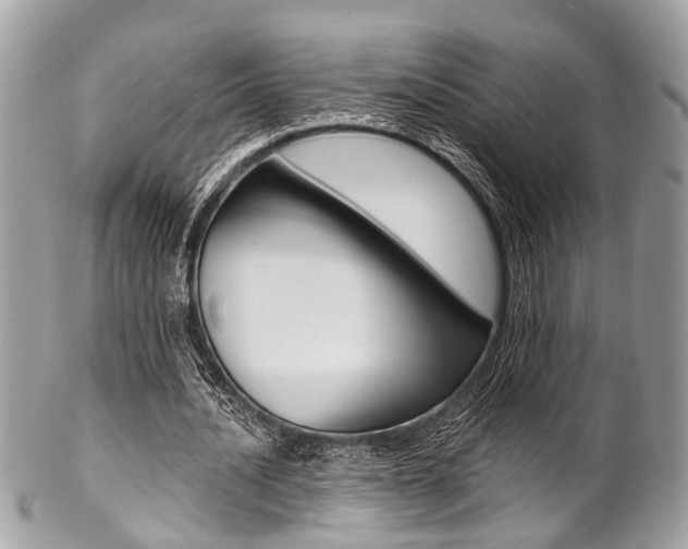X0000102850628200808181048