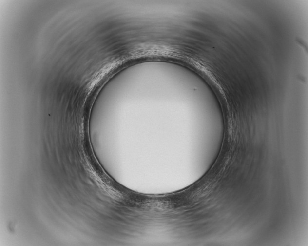 X0000102850629200808181048