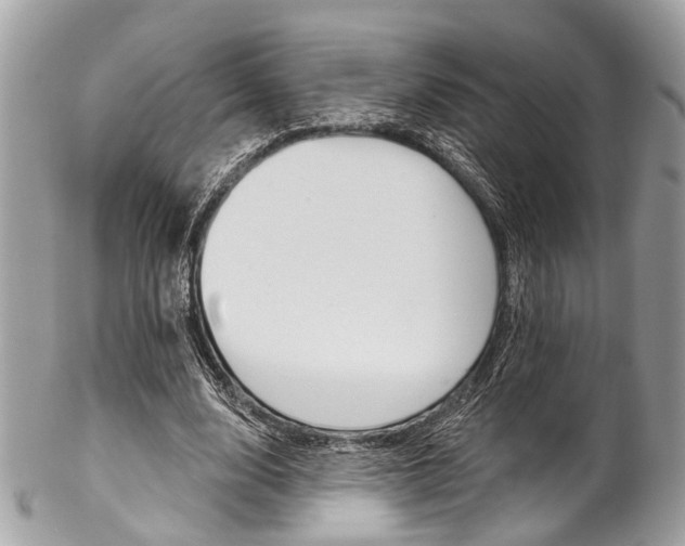 X0000102850632200808181048