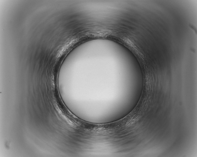 X0000102850634200808181048
