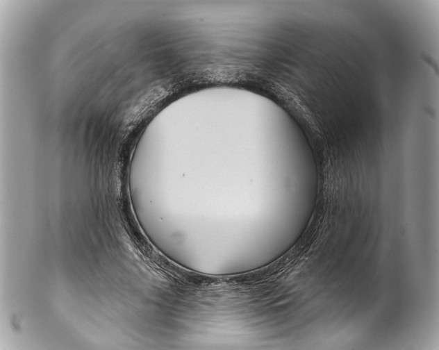 X0000102850635200808181048