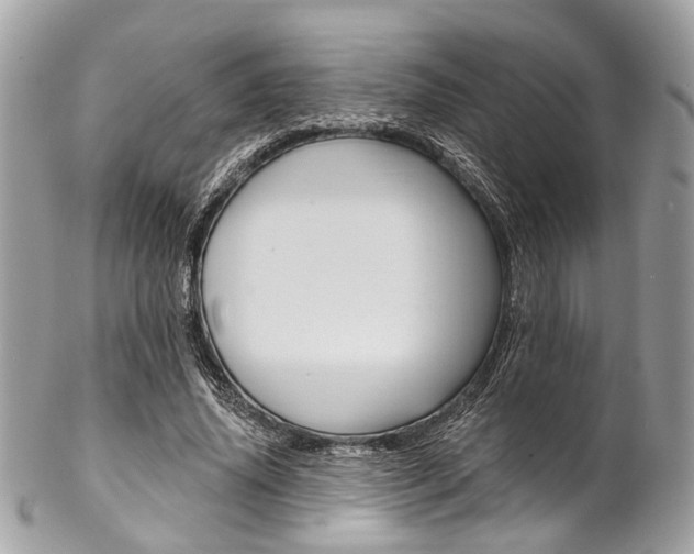 X0000102850636200808181048