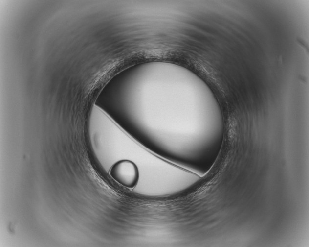 X0000102850637200808181048