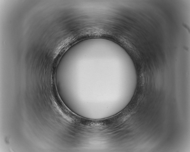 X0000102850638200808181048