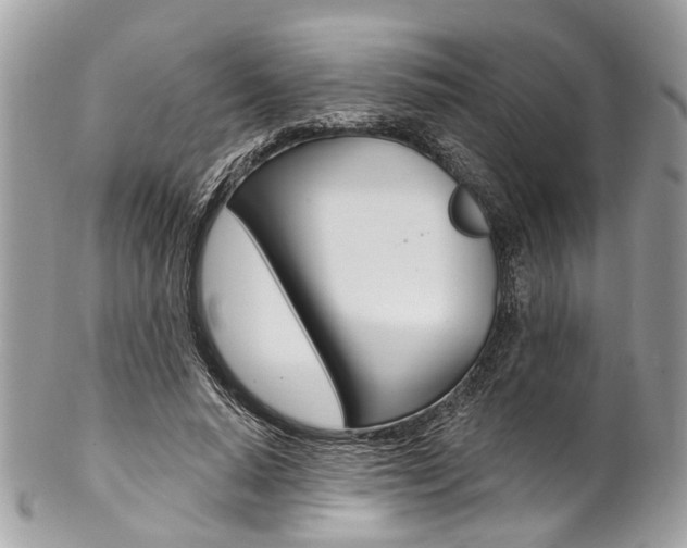 X0000102850640200808181048