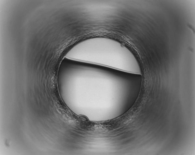 X0000102850641200808181048