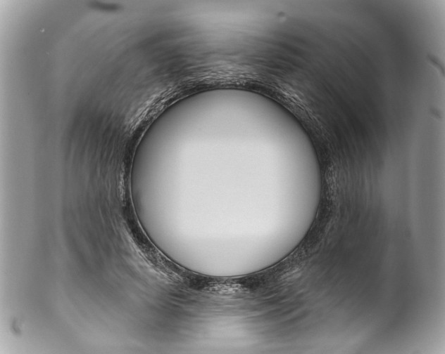 X0000102850642200808181048