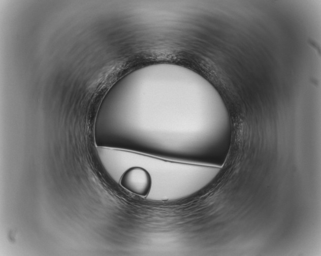 X0000102850643200808181048