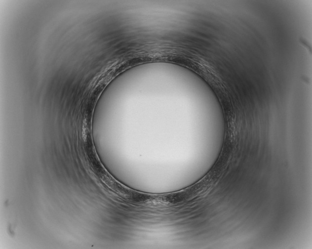 X0000102850644200808181048
