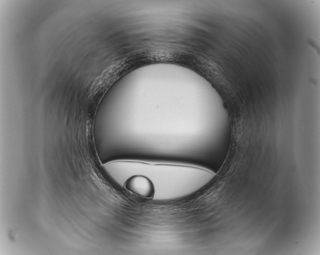 X0000102850645200808181048
