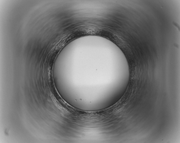 X0000102850646200808181048