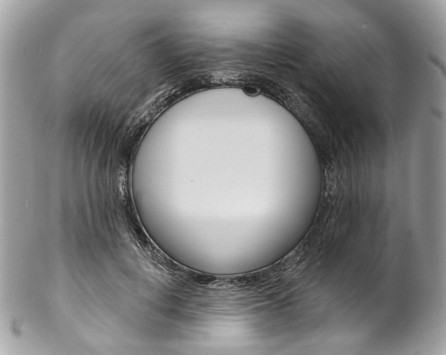 X0000102850648200808181048