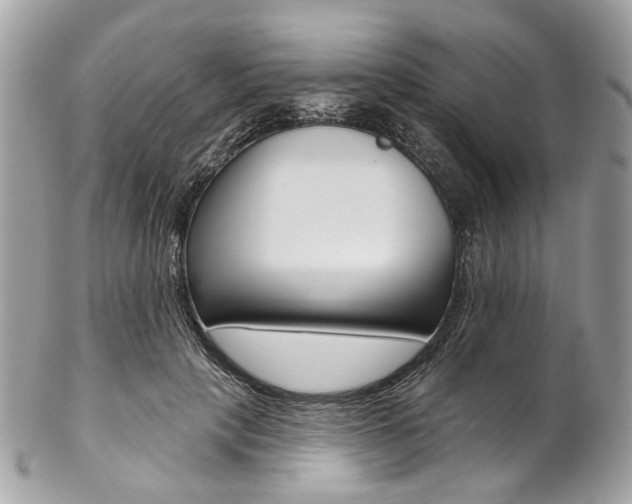X0000102850649200808181048