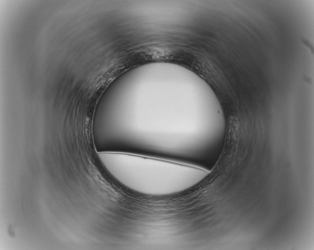 X0000102850650200808181048
