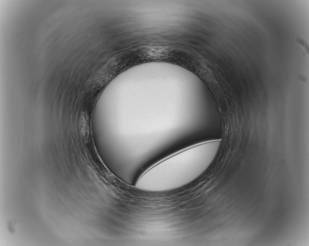 X0000102850651200808181048