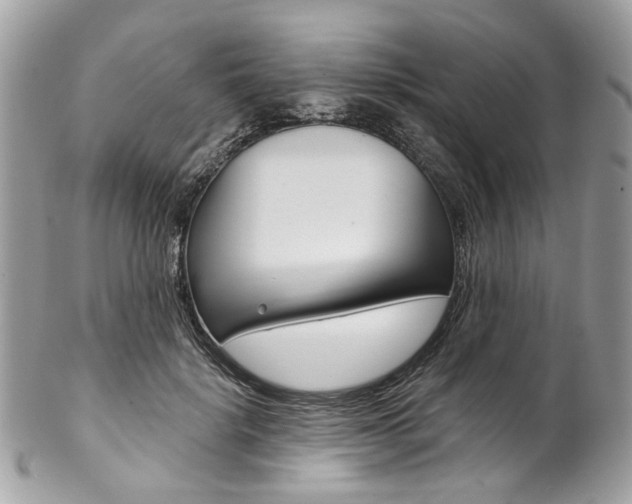 X0000102850652200808181048