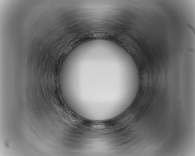 X0000102850653200808181048