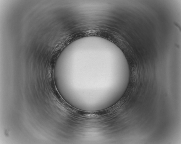 X0000102850654200808181048