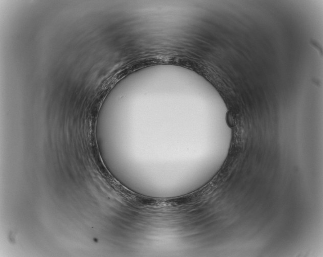 X0000102850656200808181048