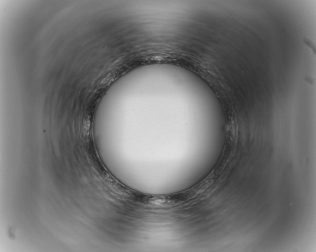 X0000102850657200808181048