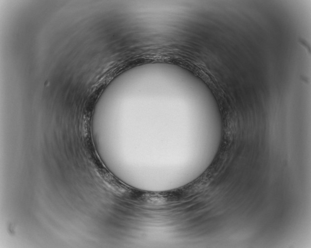 X0000102850658200808181048