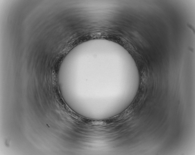 X0000102850659200808181048