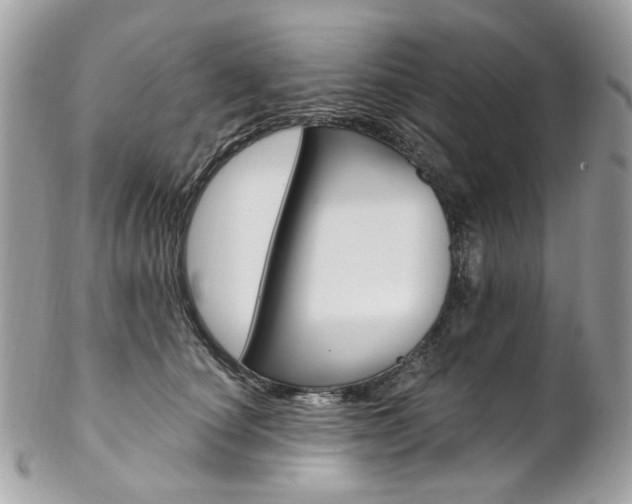 X0000102850660200808181048