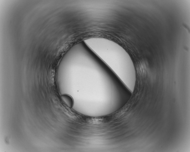 X0000102850664200808181048