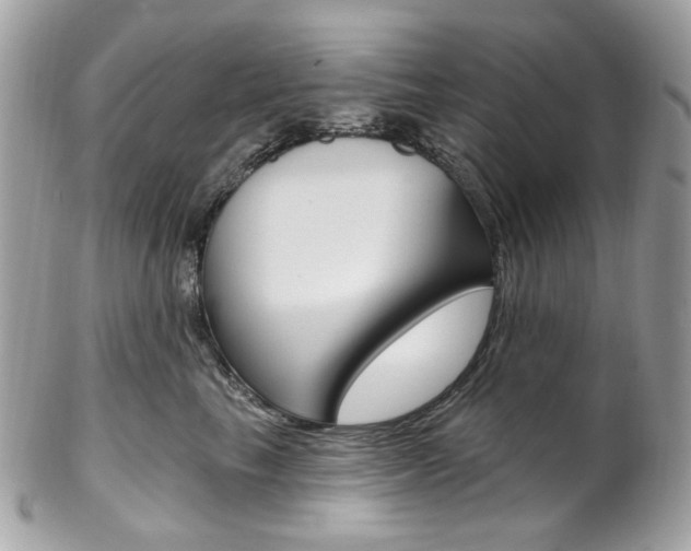 X0000102850665200808181048