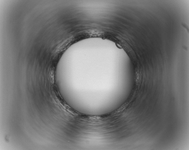 X0000102850666200808181048