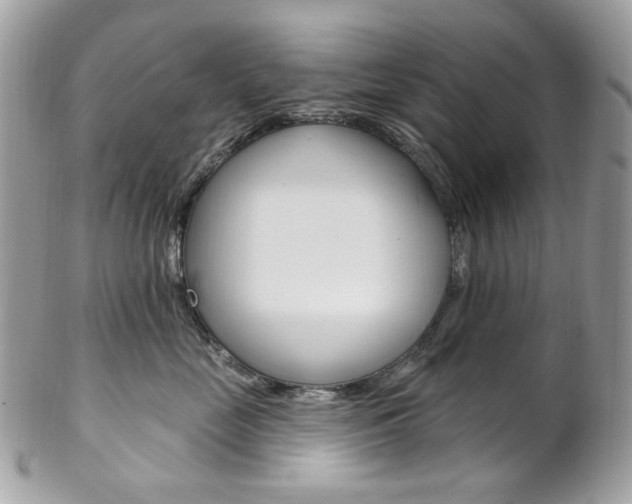 X0000102850669200808181048