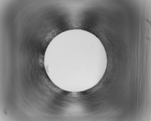 X0000102850672200808181048