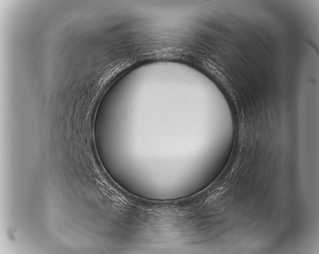X0000102850673200808181048
