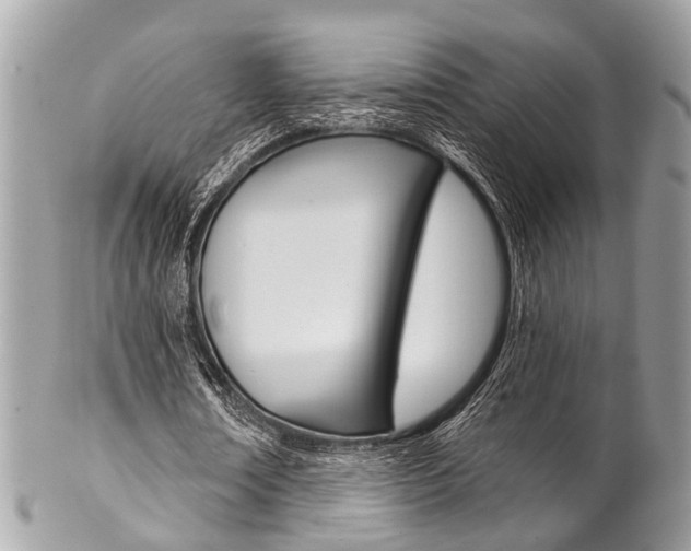 X0000102850674200808181048