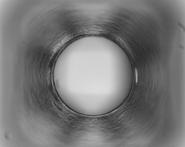 X0000102850675200808181048