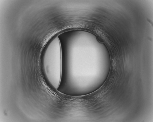 X0000102850676200808181048